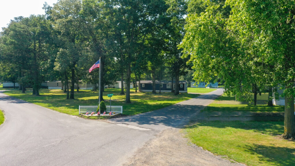 a park with trees and a flag pole